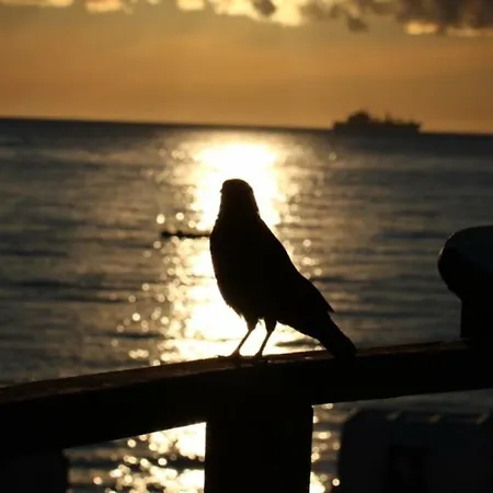 דירה Maris Nr 47 Og Mit Balkon Und Meerblick שרבאוץ