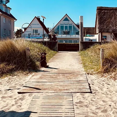Maris Nr 47 Og Mit Balkon Und Meerblick *